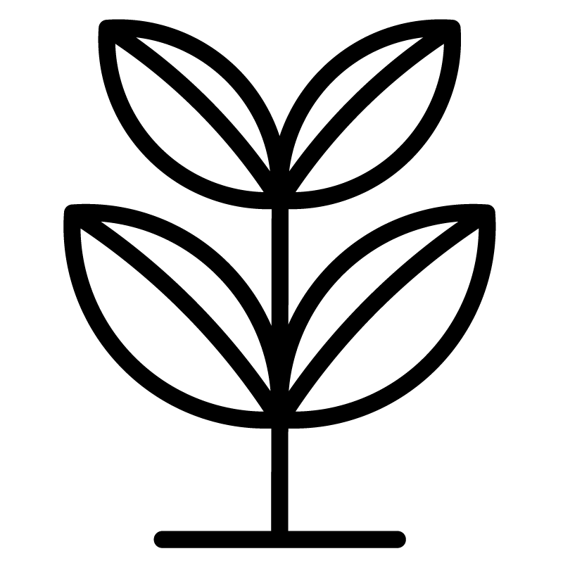 Icon - Planzung